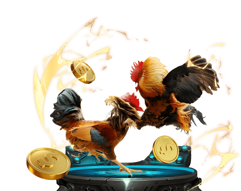 Đá gà trực tuyến 89bet1 với các trận đấu từ trường gà lớn