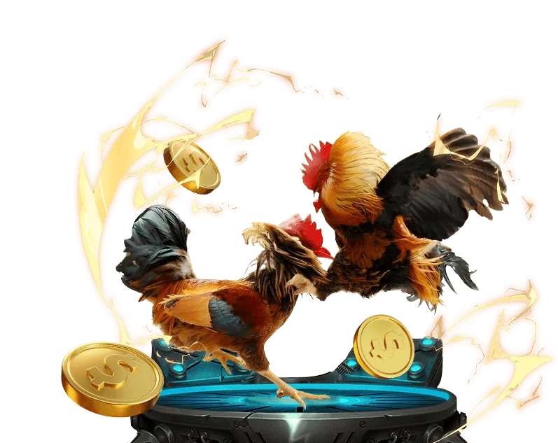 Đá gà trực tuyến 89bet1 với các trận đấu từ trường gà lớn